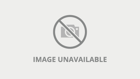 Anime Hentai - My Sexy Girl Friend